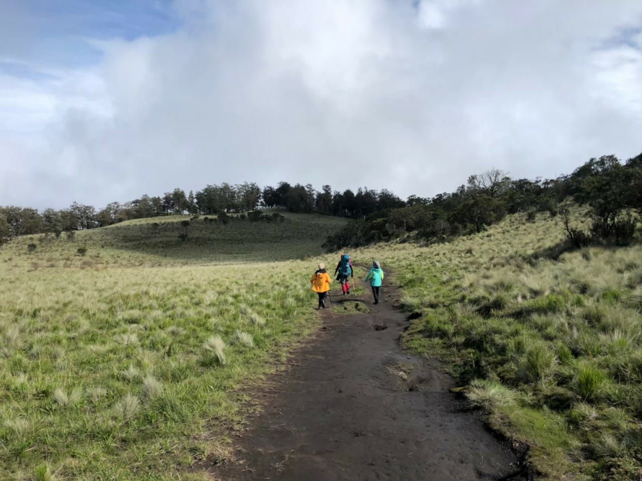 Hiking Gunung Lawu